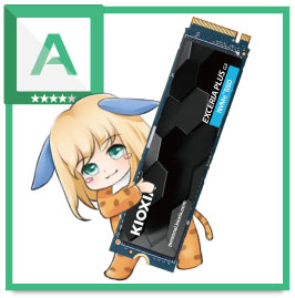KIOXIA EXCERIA PLUS G3の評価まとめ